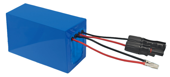 ECOLFP2407 25.6V 7.5Ah Batería LifePO4 para Seguidor Solar con Función MPPT Integrada